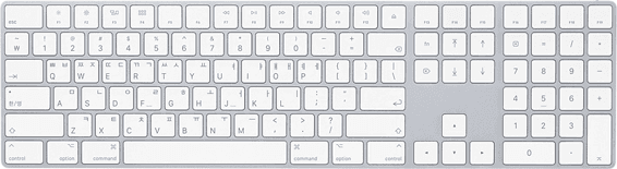 Apple Magic Keyboard with Numeric Keypad (2017)